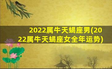 2022属牛天蝎座男(2022属牛天蝎座女全年运势)