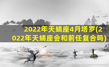 2022年天蝎座4月塔罗(2022年天蝎座会和前任复合吗)
