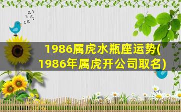 1986属虎水瓶座运势(1986年属虎开公司取名)