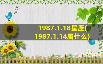 1987.1.18星座(1987.1.14属什么)