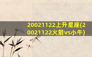 20021122上升星座(20021122火箭vs小牛)