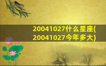 20041027什么星座(20041027今年多大)