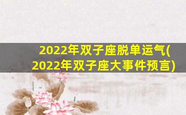 2022年双子座脱单运气(2022年双子座大事件预言)
