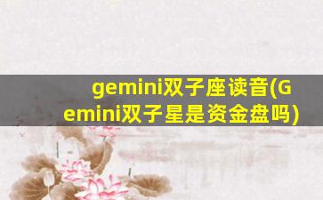 gemini双子座读音(Gemini双子星是资金盘吗)