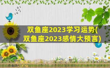双鱼座2023学习运势(双鱼座2023感情大预言)