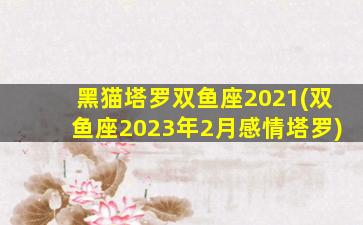 黑猫塔罗双鱼座2021(双鱼座2023年2月感情塔罗)